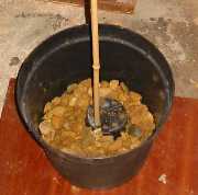 picture of planting standard fuchsia