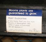 Blooms 2 year hardy plant guarantee