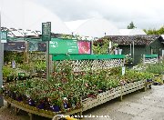 Signs in outdoor plants area at Dobbies, Birtley