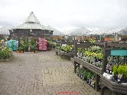 Rivendell garden Centre - the outdoor plants area. 