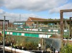 Plant sales area at Worlds End garden centre, Aylesbury