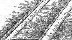 Diagram of onion seed drill