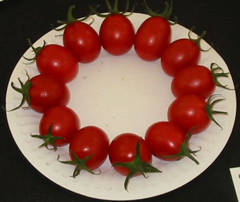 Tomato Ship St picture