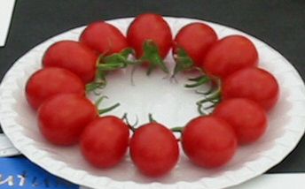 Tomato Summer Sweet picture