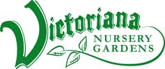 Victoriana Nursery